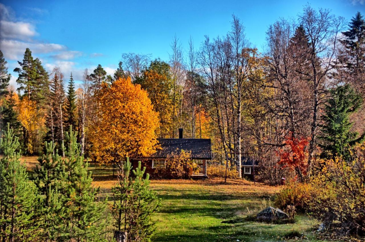 B&B Gillhov & Camping Svenstavik Exterior foto